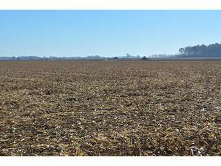 Tracts 4 & 5 - FARMLAND AUCTION - 165.5+/- ACRES OFFERED IN 5 TRACTS OR COMBINATIONS IN EAST ALLEN COUNTY